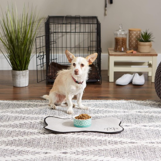 Bone Dry, Pet Bowl, Removable Silicone Ring, Non-Slip Base, Safe Feeding, Less Mess, Microwave and Dishwasher Safe, Single Bowl, Small Set, 4.25 x 2 Inch, Grey, Pack of 2 Bone Dry, Pet Bowl, Removable Silicone Ring, Non-Slip Base, Safe Feeding, Less Mess, Microwave and Dishwasher Safe, Single Bowl, Small Set, 4.25 x 2 Inch, Grey, Pack of 2