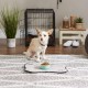Bone Dry, Pet Bowl, Removable Silicone Ring, Non-Slip Base, Safe Feeding, Less Mess, Microwave and Dishwasher Safe, Single Bowl, Small Set, 4.25 x 2 Inch, Grey, Pack of 2 Bone Dry, Pet Bowl, Removable Silicone Ring, Non-Slip Base, Safe Feeding, Less Mess, Microwave and Dishwasher Safe, Single Bowl, Small Set, 4.25 x 2 Inch, Grey, Pack of 2