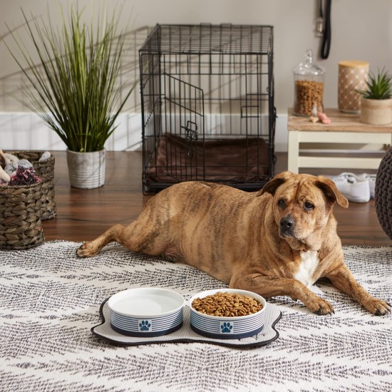 Bone Dry, Pet Bowl, Removable Silicone Ring, Non-Slip Base, Safe Feeding, Less Mess, Microwave and Dishwasher Safe, Single Bowl, Small Set, 4.25 x 2 Inch, Grey, Pack of 2 Bone Dry, Pet Bowl, Removable Silicone Ring, Non-Slip Base, Safe Feeding, Less Mess, Microwave and Dishwasher Safe, Single Bowl, Small Set, 4.25 x 2 Inch, Grey, Pack of 2