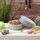 Bone Dry, Pet Bowl, Removable Silicone Ring, Non-Slip Base, Safe Feeding, Less Mess, Microwave and Dishwasher Safe, Single Bowl, Small Set, 4.25 x 2 Inch, Grey, Pack of 2 Bone Dry, Pet Bowl, Removable Silicone Ring, Non-Slip Base, Safe Feeding, Less Mess, Microwave and Dishwasher Safe, Single Bowl, Small Set, 4.25 x 2 Inch, Grey, Pack of 2