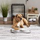 Bone Dry, Pet Bowl, Removable Silicone Ring, Non-Slip Base, Safe Feeding, Less Mess, Microwave and Dishwasher Safe, Single Bowl, Small Set, 4.25 x 2 Inch, Grey, Pack of 2 Bone Dry, Pet Bowl, Removable Silicone Ring, Non-Slip Base, Safe Feeding, Less Mess, Microwave and Dishwasher Safe, Single Bowl, Small Set, 4.25 x 2 Inch, Grey, Pack of 2