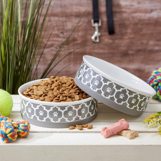 Bone Dry, Pet Bowl, Removable Silicone Ring, Non-Slip Base, Safe Feeding, Less Mess, Microwave and Dishwasher Safe, Single Bowl, Small Set, 4.25 x 2 Inch, Grey, Pack of 2 Bone Dry, Pet Bowl, Removable Silicone Ring, Non-Slip Base, Safe Feeding, Less Mess, Microwave and Dishwasher Safe, Single Bowl, Small Set, 4.25 x 2 Inch, Grey, Pack of 2