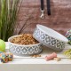 Bone Dry, Pet Bowl, Removable Silicone Ring, Non-Slip Base, Safe Feeding, Less Mess, Microwave and Dishwasher Safe, Single Bowl, Small Set, 4.25 x 2 Inch, Grey, Pack of 2 Bone Dry, Pet Bowl, Removable Silicone Ring, Non-Slip Base, Safe Feeding, Less Mess, Microwave and Dishwasher Safe, Single Bowl, Small Set, 4.25 x 2 Inch, Grey, Pack of 2