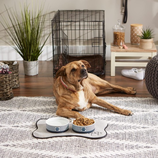 Bone Dry, Pet Bowl, Removable Silicone Ring, Non-Slip Base, Safe Feeding, Less Mess, Microwave and Dishwasher Safe, Single Bowl, Small Set, 4.25 x 2 Inch, Grey, Pack of 2 Bone Dry, Pet Bowl, Removable Silicone Ring, Non-Slip Base, Safe Feeding, Less Mess, Microwave and Dishwasher Safe, Single Bowl, Small Set, 4.25 x 2 Inch, Grey, Pack of 2