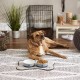 Bone Dry, Pet Bowl, Removable Silicone Ring, Non-Slip Base, Safe Feeding, Less Mess, Microwave and Dishwasher Safe, Single Bowl, Small Set, 4.25 x 2 Inch, Grey, Pack of 2 Bone Dry, Pet Bowl, Removable Silicone Ring, Non-Slip Base, Safe Feeding, Less Mess, Microwave and Dishwasher Safe, Single Bowl, Small Set, 4.25 x 2 Inch, Grey, Pack of 2