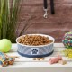 Bone Dry, Pet Bowl, Removable Silicone Ring, Non-Slip Base, Safe Feeding, Less Mess, Microwave and Dishwasher Safe, Single Bowl, Small Set, 4.25 x 2 Inch, Grey, Pack of 2 Bone Dry, Pet Bowl, Removable Silicone Ring, Non-Slip Base, Safe Feeding, Less Mess, Microwave and Dishwasher Safe, Single Bowl, Small Set, 4.25 x 2 Inch, Grey, Pack of 2