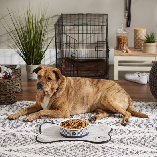 Bone Dry, Pet Bowl, Removable Silicone Ring, Non-Slip Base, Safe Feeding, Less Mess, Microwave and Dishwasher Safe, Single Bowl, Small Set, 4.25 x 2 Inch, Grey, Pack of 2 Bone Dry, Pet Bowl, Removable Silicone Ring, Non-Slip Base, Safe Feeding, Less Mess, Microwave and Dishwasher Safe, Single Bowl, Small Set, 4.25 x 2 Inch, Grey, Pack of 2