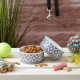 Bone Dry, Pet Bowl, Removable Silicone Ring, Non-Slip Base, Safe Feeding, Less Mess, Microwave and Dishwasher Safe, Single Bowl, Small Set, 4.25 x 2 Inch, Grey, Pack of 2 Bone Dry, Pet Bowl, Removable Silicone Ring, Non-Slip Base, Safe Feeding, Less Mess, Microwave and Dishwasher Safe, Single Bowl, Small Set, 4.25 x 2 Inch, Grey, Pack of 2