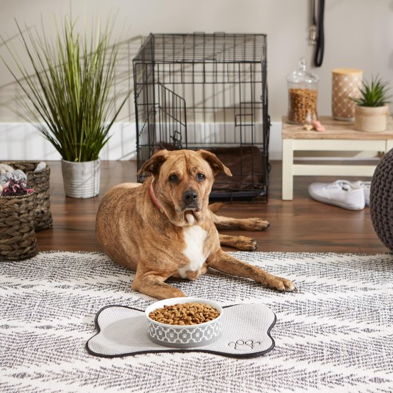 Bone Dry, Pet Bowl, Removable Silicone Ring, Non-Slip Base, Safe Feeding, Less Mess, Microwave and Dishwasher Safe, Single Bowl, Small Set, 4.25 x 2 Inch, Grey, Pack of 2 Bone Dry, Pet Bowl, Removable Silicone Ring, Non-Slip Base, Safe Feeding, Less Mess, Microwave and Dishwasher Safe, Single Bowl, Small Set, 4.25 x 2 Inch, Grey, Pack of 2