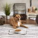 Bone Dry, Pet Bowl, Removable Silicone Ring, Non-Slip Base, Safe Feeding, Less Mess, Microwave and Dishwasher Safe, Single Bowl, Small Set, 4.25 x 2 Inch, Grey, Pack of 2 Bone Dry, Pet Bowl, Removable Silicone Ring, Non-Slip Base, Safe Feeding, Less Mess, Microwave and Dishwasher Safe, Single Bowl, Small Set, 4.25 x 2 Inch, Grey, Pack of 2