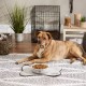 Bone Dry, Pet Bowl, Removable Silicone Ring, Non-Slip Base, Safe Feeding, Less Mess, Microwave and Dishwasher Safe, Single Bowl, Small Set, 4.25 x 2 Inch, Grey, Pack of 2 Bone Dry, Pet Bowl, Removable Silicone Ring, Non-Slip Base, Safe Feeding, Less Mess, Microwave and Dishwasher Safe, Single Bowl, Small Set, 4.25 x 2 Inch, Grey, Pack of 2