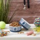 Bone Dry, Pet Bowl, Removable Silicone Ring, Non-Slip Base, Safe Feeding, Less Mess, Microwave and Dishwasher Safe, Single Bowl, Small Set, 4.25 x 2 Inch, Grey, Pack of 2 Bone Dry, Pet Bowl, Removable Silicone Ring, Non-Slip Base, Safe Feeding, Less Mess, Microwave and Dishwasher Safe, Single Bowl, Small Set, 4.25 x 2 Inch, Grey, Pack of 2