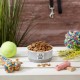 Bone Dry, Pet Bowl, Removable Silicone Ring, Non-Slip Base, Safe Feeding, Less Mess, Microwave and Dishwasher Safe, Single Bowl, Small Set, 4.25 x 2 Inch, Grey, Pack of 2 Bone Dry, Pet Bowl, Removable Silicone Ring, Non-Slip Base, Safe Feeding, Less Mess, Microwave and Dishwasher Safe, Single Bowl, Small Set, 4.25 x 2 Inch, Grey, Pack of 2