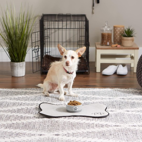 Bone Dry, Pet Bowl, Removable Silicone Ring, Non-Slip Base, Safe Feeding, Less Mess, Microwave and Dishwasher Safe, Single Bowl, Small Set, 4.25 x 2 Inch, Grey, Pack of 2 Bone Dry, Pet Bowl, Removable Silicone Ring, Non-Slip Base, Safe Feeding, Less Mess, Microwave and Dishwasher Safe, Single Bowl, Small Set, 4.25 x 2 Inch, Grey, Pack of 2