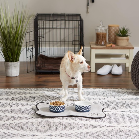 Bone Dry, Pet Bowl, Removable Silicone Ring, Non-Slip Base, Safe Feeding, Less Mess, Microwave and Dishwasher Safe, Single Bowl, Small Set, 4.25 x 2 Inch, Grey, Pack of 2 Bone Dry, Pet Bowl, Removable Silicone Ring, Non-Slip Base, Safe Feeding, Less Mess, Microwave and Dishwasher Safe, Single Bowl, Small Set, 4.25 x 2 Inch, Grey, Pack of 2