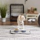 Bone Dry, Pet Bowl, Removable Silicone Ring, Non-Slip Base, Safe Feeding, Less Mess, Microwave and Dishwasher Safe, Single Bowl, Small Set, 4.25 x 2 Inch, Grey, Pack of 2 Bone Dry, Pet Bowl, Removable Silicone Ring, Non-Slip Base, Safe Feeding, Less Mess, Microwave and Dishwasher Safe, Single Bowl, Small Set, 4.25 x 2 Inch, Grey, Pack of 2