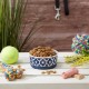 Bone Dry, Pet Bowl, Removable Silicone Ring, Non-Slip Base, Safe Feeding, Less Mess, Microwave and Dishwasher Safe, Single Bowl, Small Set, 4.25 x 2 Inch, Grey, Pack of 2 Bone Dry, Pet Bowl, Removable Silicone Ring, Non-Slip Base, Safe Feeding, Less Mess, Microwave and Dishwasher Safe, Single Bowl, Small Set, 4.25 x 2 Inch, Grey, Pack of 2