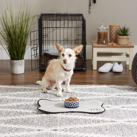 Bone Dry, Pet Bowl, Removable Silicone Ring, Non-Slip Base, Safe Feeding, Less Mess, Microwave and Dishwasher Safe, Single Bowl, Small Set, 4.25 x 2 Inch, Grey, Pack of 2 Bone Dry, Pet Bowl, Removable Silicone Ring, Non-Slip Base, Safe Feeding, Less Mess, Microwave and Dishwasher Safe, Single Bowl, Small Set, 4.25 x 2 Inch, Grey, Pack of 2