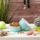 Bone Dry, Pet Bowl, Removable Silicone Ring, Non-Slip Base, Safe Feeding, Less Mess, Microwave and Dishwasher Safe, Single Bowl, Small Set, 4.25 x 2 Inch, Grey, Pack of 2 Bone Dry, Pet Bowl, Removable Silicone Ring, Non-Slip Base, Safe Feeding, Less Mess, Microwave and Dishwasher Safe, Single Bowl, Small Set, 4.25 x 2 Inch, Grey, Pack of 2