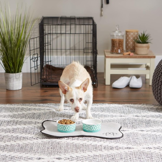 Bone Dry, Pet Bowl, Removable Silicone Ring, Non-Slip Base, Safe Feeding, Less Mess, Microwave and Dishwasher Safe, Single Bowl, Small Set, 4.25 x 2 Inch, Grey, Pack of 2 Bone Dry, Pet Bowl, Removable Silicone Ring, Non-Slip Base, Safe Feeding, Less Mess, Microwave and Dishwasher Safe, Single Bowl, Small Set, 4.25 x 2 Inch, Grey, Pack of 2