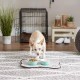 Bone Dry, Pet Bowl, Removable Silicone Ring, Non-Slip Base, Safe Feeding, Less Mess, Microwave and Dishwasher Safe, Single Bowl, Small Set, 4.25 x 2 Inch, Grey, Pack of 2 Bone Dry, Pet Bowl, Removable Silicone Ring, Non-Slip Base, Safe Feeding, Less Mess, Microwave and Dishwasher Safe, Single Bowl, Small Set, 4.25 x 2 Inch, Grey, Pack of 2