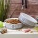 Bone Dry, Pet Bowl, Removable Silicone Ring, Non-Slip Base, Safe Feeding, Less Mess, Microwave and Dishwasher Safe, Single Bowl, Small Set, 4.25 x 2 Inch, Grey, Pack of 2 Bone Dry, Pet Bowl, Removable Silicone Ring, Non-Slip Base, Safe Feeding, Less Mess, Microwave and Dishwasher Safe, Single Bowl, Small Set, 4.25 x 2 Inch, Grey, Pack of 2