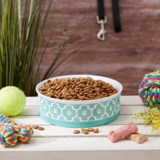 Bone Dry, Pet Bowl, Removable Silicone Ring, Non-Slip Base, Safe Feeding, Less Mess, Microwave and Dishwasher Safe, Single Bowl, Small Set, 4.25 x 2 Inch, Grey, Pack of 2 Bone Dry, Pet Bowl, Removable Silicone Ring, Non-Slip Base, Safe Feeding, Less Mess, Microwave and Dishwasher Safe, Single Bowl, Small Set, 4.25 x 2 Inch, Grey, Pack of 2