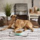 Bone Dry, Pet Bowl, Removable Silicone Ring, Non-Slip Base, Safe Feeding, Less Mess, Microwave and Dishwasher Safe, Single Bowl, Small Set, 4.25 x 2 Inch, Grey, Pack of 2 Bone Dry, Pet Bowl, Removable Silicone Ring, Non-Slip Base, Safe Feeding, Less Mess, Microwave and Dishwasher Safe, Single Bowl, Small Set, 4.25 x 2 Inch, Grey, Pack of 2