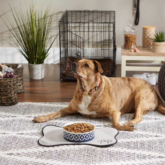 Bone Dry, Pet Bowl, Removable Silicone Ring, Non-Slip Base, Safe Feeding, Less Mess, Microwave and Dishwasher Safe, Single Bowl, Small Set, 4.25 x 2 Inch, Grey, Pack of 2 Bone Dry, Pet Bowl, Removable Silicone Ring, Non-Slip Base, Safe Feeding, Less Mess, Microwave and Dishwasher Safe, Single Bowl, Small Set, 4.25 x 2 Inch, Grey, Pack of 2
