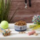 Bone Dry, Pet Bowl, Removable Silicone Ring, Non-Slip Base, Safe Feeding, Less Mess, Microwave and Dishwasher Safe, Single Bowl, Small Set, 4.25 x 2 Inch, Grey, Pack of 2 Bone Dry, Pet Bowl, Removable Silicone Ring, Non-Slip Base, Safe Feeding, Less Mess, Microwave and Dishwasher Safe, Single Bowl, Small Set, 4.25 x 2 Inch, Grey, Pack of 2