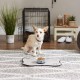 Bone Dry, Pet Bowl, Removable Silicone Ring, Non-Slip Base, Safe Feeding, Less Mess, Microwave and Dishwasher Safe, Single Bowl, Small Set, 4.25 x 2 Inch, Grey, Pack of 2 Bone Dry, Pet Bowl, Removable Silicone Ring, Non-Slip Base, Safe Feeding, Less Mess, Microwave and Dishwasher Safe, Single Bowl, Small Set, 4.25 x 2 Inch, Grey, Pack of 2