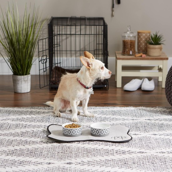 Bone Dry, Pet Bowl, Removable Silicone Ring, Non-Slip Base, Safe Feeding, Less Mess, Microwave and Dishwasher Safe, Single Bowl, Small Set, 4.25 x 2 Inch, Grey, Pack of 2 Bone Dry, Pet Bowl, Removable Silicone Ring, Non-Slip Base, Safe Feeding, Less Mess, Microwave and Dishwasher Safe, Single Bowl, Small Set, 4.25 x 2 Inch, Grey, Pack of 2