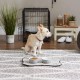 Bone Dry, Pet Bowl, Removable Silicone Ring, Non-Slip Base, Safe Feeding, Less Mess, Microwave and Dishwasher Safe, Single Bowl, Small Set, 4.25 x 2 Inch, Grey, Pack of 2 Bone Dry, Pet Bowl, Removable Silicone Ring, Non-Slip Base, Safe Feeding, Less Mess, Microwave and Dishwasher Safe, Single Bowl, Small Set, 4.25 x 2 Inch, Grey, Pack of 2