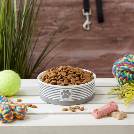 Bone Dry, Pet Bowl, Removable Silicone Ring, Non-Slip Base, Safe Feeding, Less Mess, Microwave and Dishwasher Safe, Single Bowl, Small Set, 4.25 x 2 Inch, Grey, Pack of 2 Bone Dry, Pet Bowl, Removable Silicone Ring, Non-Slip Base, Safe Feeding, Less Mess, Microwave and Dishwasher Safe, Single Bowl, Small Set, 4.25 x 2 Inch, Grey, Pack of 2