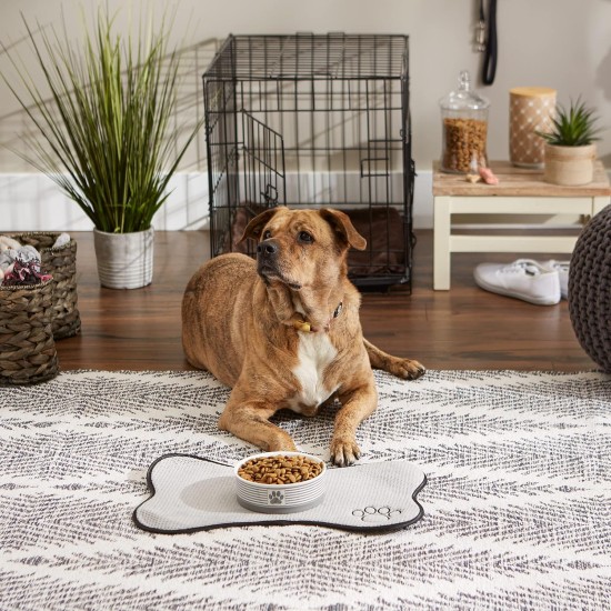 Bone Dry, Pet Bowl, Removable Silicone Ring, Non-Slip Base, Safe Feeding, Less Mess, Microwave and Dishwasher Safe, Single Bowl, Small Set, 4.25 x 2 Inch, Grey, Pack of 2 Bone Dry, Pet Bowl, Removable Silicone Ring, Non-Slip Base, Safe Feeding, Less Mess, Microwave and Dishwasher Safe, Single Bowl, Small Set, 4.25 x 2 Inch, Grey, Pack of 2