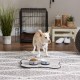 Bone Dry, Pet Bowl, Removable Silicone Ring, Non-Slip Base, Safe Feeding, Less Mess, Microwave and Dishwasher Safe, Single Bowl, Small Set, 4.25 x 2 Inch, Grey, Pack of 2 Bone Dry, Pet Bowl, Removable Silicone Ring, Non-Slip Base, Safe Feeding, Less Mess, Microwave and Dishwasher Safe, Single Bowl, Small Set, 4.25 x 2 Inch, Grey, Pack of 2