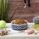 Bone Dry, Pet Bowl, Removable Silicone Ring, Non-Slip Base, Safe Feeding, Less Mess, Microwave and Dishwasher Safe, Single Bowl, Small Set, 4.25 x 2 Inch, Grey, Pack of 2 Bone Dry, Pet Bowl, Removable Silicone Ring, Non-Slip Base, Safe Feeding, Less Mess, Microwave and Dishwasher Safe, Single Bowl, Small Set, 4.25 x 2 Inch, Grey, Pack of 2
