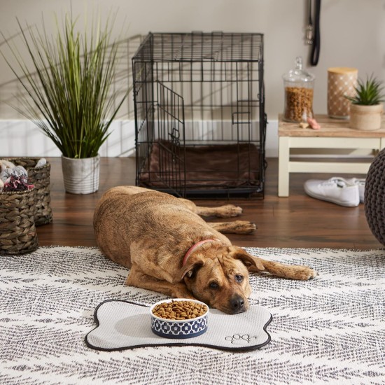 Bone Dry, Pet Bowl, Removable Silicone Ring, Non-Slip Base, Safe Feeding, Less Mess, Microwave and Dishwasher Safe, Single Bowl, Small Set, 4.25 x 2 Inch, Grey, Pack of 2 Bone Dry, Pet Bowl, Removable Silicone Ring, Non-Slip Base, Safe Feeding, Less Mess, Microwave and Dishwasher Safe, Single Bowl, Small Set, 4.25 x 2 Inch, Grey, Pack of 2