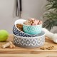 Bone Dry, Pet Bowl, Removable Silicone Ring, Non-Slip Base, Safe Feeding, Less Mess, Microwave and Dishwasher Safe, Single Bowl, Small Set, 4.25 x 2 Inch, Grey, Pack of 2 Bone Dry, Pet Bowl, Removable Silicone Ring, Non-Slip Base, Safe Feeding, Less Mess, Microwave and Dishwasher Safe, Single Bowl, Small Set, 4.25 x 2 Inch, Grey, Pack of 2