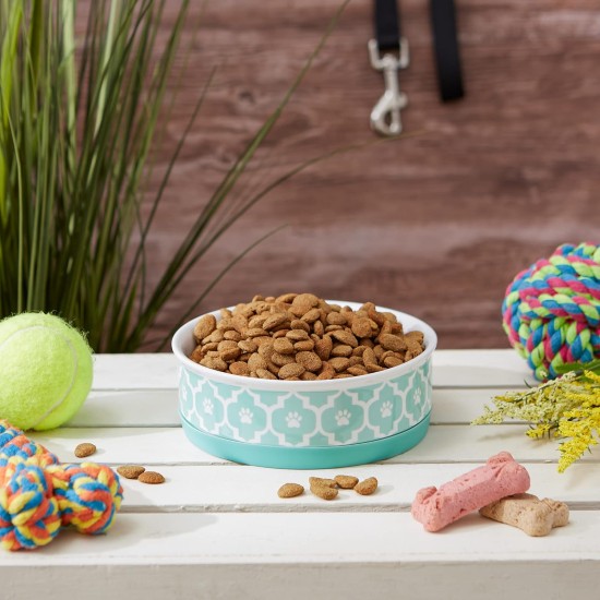 Bone Dry, Pet Bowl, Removable Silicone Ring, Non-Slip Base, Safe Feeding, Less Mess, Microwave and Dishwasher Safe, Single Bowl, Small Set, 4.25 x 2 Inch, Grey, Pack of 2 Bone Dry, Pet Bowl, Removable Silicone Ring, Non-Slip Base, Safe Feeding, Less Mess, Microwave and Dishwasher Safe, Single Bowl, Small Set, 4.25 x 2 Inch, Grey, Pack of 2