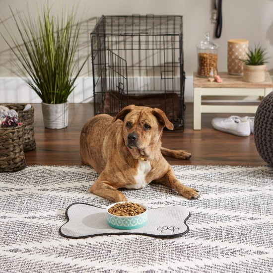 Bone Dry, Pet Bowl, Removable Silicone Ring, Non-Slip Base, Safe Feeding, Less Mess, Microwave and Dishwasher Safe, Single Bowl, Small Set, 4.25 x 2 Inch, Grey, Pack of 2 Bone Dry, Pet Bowl, Removable Silicone Ring, Non-Slip Base, Safe Feeding, Less Mess, Microwave and Dishwasher Safe, Single Bowl, Small Set, 4.25 x 2 Inch, Grey, Pack of 2