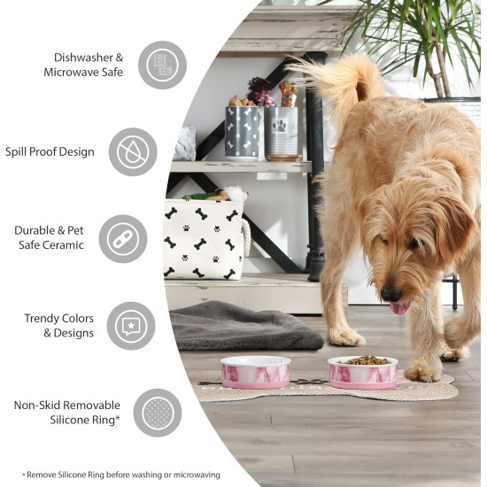 Bone Dry, Pet Bowl, Removable Silicone Ring, Non-Slip Base, Safe Feeding, Less Mess, Microwave and Dishwasher Safe, Single Bowl, Small Set, 4.25 x 2 Inch, Grey, Pack of 2 Bone Dry, Pet Bowl, Removable Silicone Ring, Non-Slip Base, Safe Feeding, Less Mess, Microwave and Dishwasher Safe, Single Bowl, Small Set, 4.25 x 2 Inch, Grey, Pack of 2