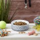 Bone Dry, Pet Bowl, Removable Silicone Ring, Non-Slip Base, Safe Feeding, Less Mess, Microwave and Dishwasher Safe, Single Bowl, Small Set, 4.25 x 2 Inch, Grey, Pack of 2 Bone Dry, Pet Bowl, Removable Silicone Ring, Non-Slip Base, Safe Feeding, Less Mess, Microwave and Dishwasher Safe, Single Bowl, Small Set, 4.25 x 2 Inch, Grey, Pack of 2
