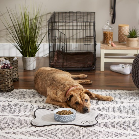 Bone Dry, Pet Bowl, Removable Silicone Ring, Non-Slip Base, Safe Feeding, Less Mess, Microwave and Dishwasher Safe, Single Bowl, Small Set, 4.25 x 2 Inch, Grey, Pack of 2 Bone Dry, Pet Bowl, Removable Silicone Ring, Non-Slip Base, Safe Feeding, Less Mess, Microwave and Dishwasher Safe, Single Bowl, Small Set, 4.25 x 2 Inch, Grey, Pack of 2