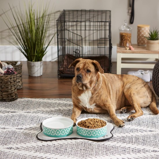 Bone Dry, Pet Bowl, Removable Silicone Ring, Non-Slip Base, Safe Feeding, Less Mess, Microwave and Dishwasher Safe, Single Bowl, Small Set, 4.25 x 2 Inch, Grey, Pack of 2 Bone Dry, Pet Bowl, Removable Silicone Ring, Non-Slip Base, Safe Feeding, Less Mess, Microwave and Dishwasher Safe, Single Bowl, Small Set, 4.25 x 2 Inch, Grey, Pack of 2