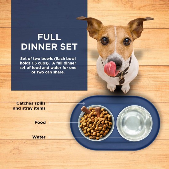 Bonza Double Dog Bowl Pet Feeding Station, Stainless Steel Water and Food Bowls with Spill and Skid Resistant Silicone Base. Premium Quality Feeder Solution for Small Dogs and Cats (Navy Blue) Bonza Double Dog Bowl Pet Feeding Station, Stainless Steel Water and Food Bowls with Spill and Skid Resistant Silicone Base. Premium Quality Feeder Solution for Small Dogs and Cats (Navy Blue)