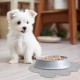 Bowl Mat Cat Dog Food Mats Silicone Placemats Pets Non-Slip Mat for Dogs Cats Bowl Mat Cat Dog Food Mats Silicone Placemats Pets Non-Slip Mat for Dogs Cats