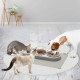 Cat Bowl Set, 15° Tilting Double Wet Dry Food Bowl with Automatic Water Bottle for Small and Medium Dogs and Cats Cat Bowl Set, 15° Tilting Double Wet Dry Food Bowl with Automatic Water Bottle for Small and Medium Dogs and Cats