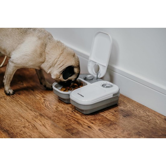 Cat Mate C200 2 Meal Automatic Feeder with Timer and Ice Pack for Cats and Small Dogs for Wet and Dry Food, White Cat Mate C200 2 Meal Automatic Feeder with Timer and Ice Pack for Cats and Small Dogs for Wet and Dry Food, White