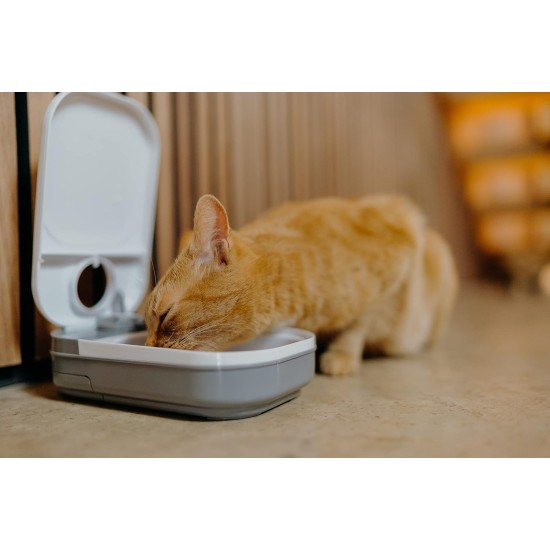 Cat Mate C300 Automatic 3 Meal Feeder, with Digital Timer for Cats and Small Dogs Cat Mate C300 Automatic 3 Meal Feeder, with Digital Timer for Cats and Small Dogs